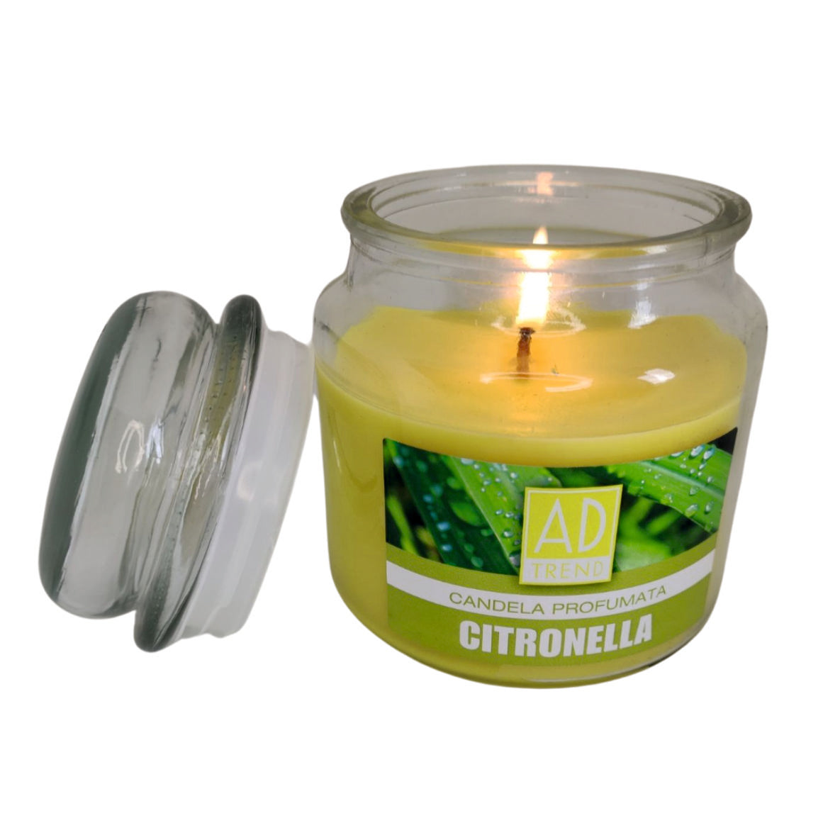 Candela Citronella 14cm x 10cm