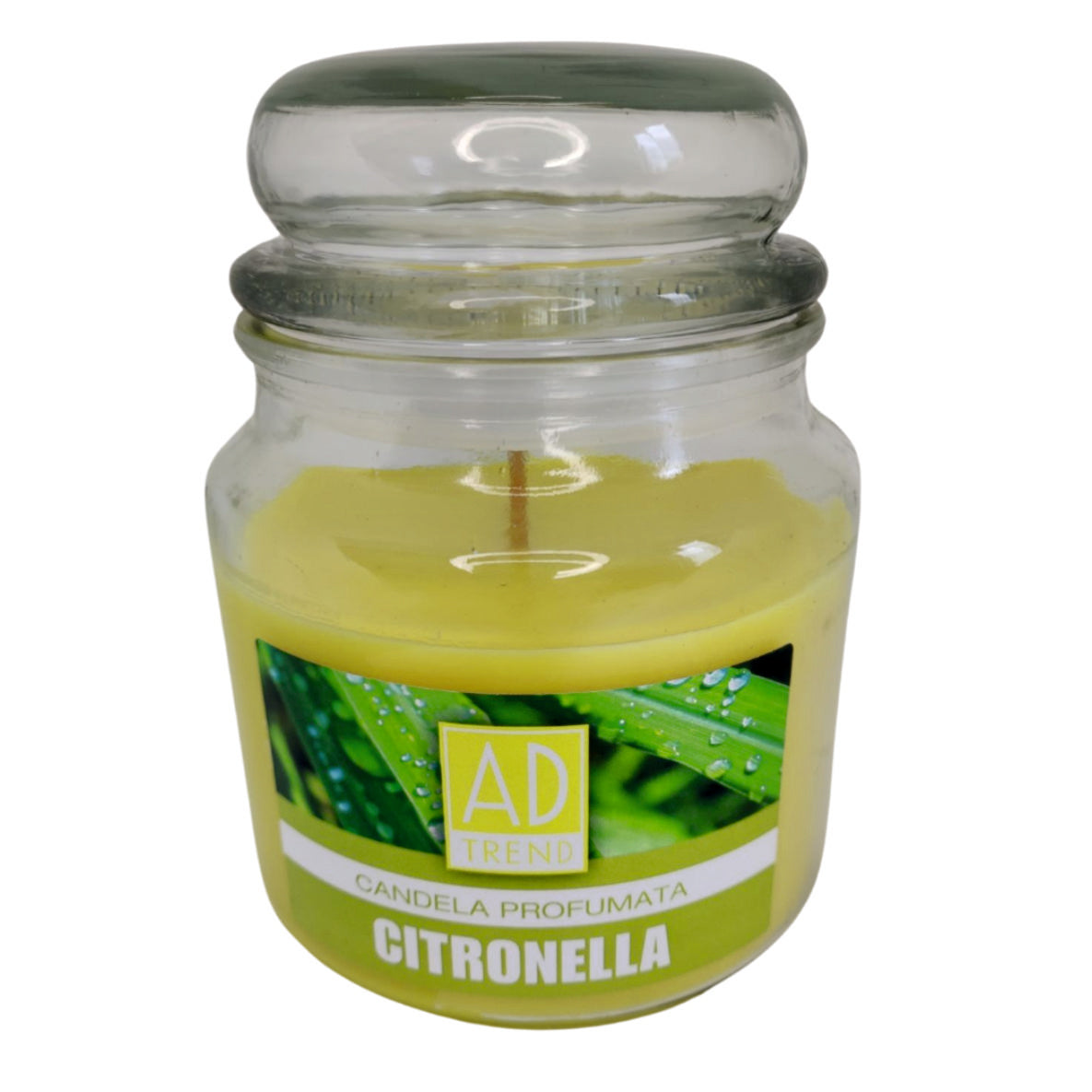 Candela Citronella 14cm x 10cm